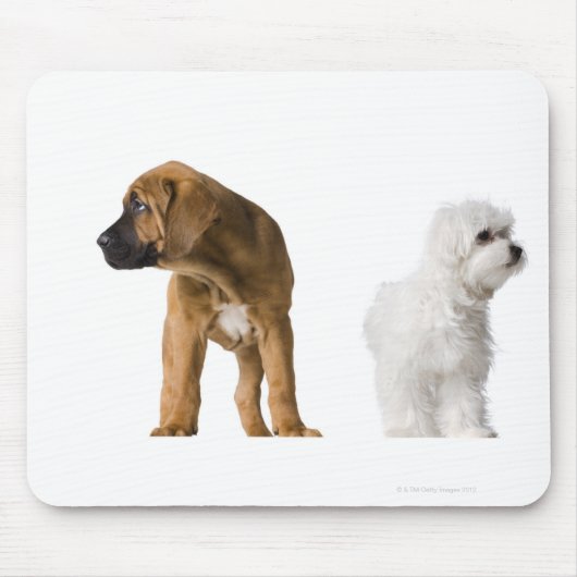 Zwei Hunde Mousepad (Vorne)