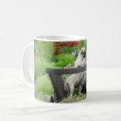 Zwei Hunde pro Mops Welpe und Boston Terrier in ei Kaffeetasse (Vorderseite Links)