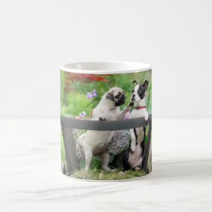 Zwei Hunde pro Mops Welpe und Boston Terrier in ei Kaffeetasse