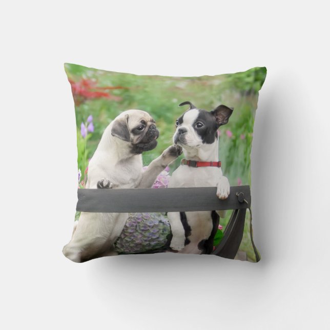 Zwei Hunde pro Mops Welpe und Boston Terrier in ei Kissen (Vorderseite)