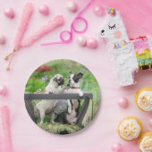 Zwei Hunde pro Mops Welpe und Boston Terrier in ei Pappteller (Party)