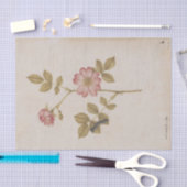 Zwei Hunde Rose und eine Lackey Moth Raupe Seidenpapier (Handwerk)