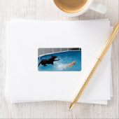 Zwei Hunde springen in ein Schwimmbad! Adressaufkleber (Insitu)