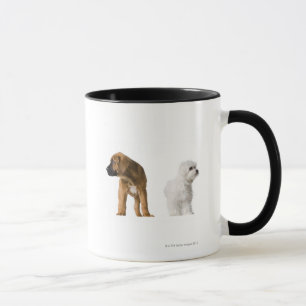 Zwei Hunde Tasse