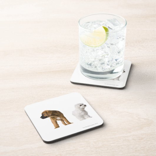 Zwei Hunde Untersetzer (Rechte Seite)