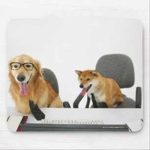 Zwei Hunde, welche die Krawatte und Gläser, Mousepad