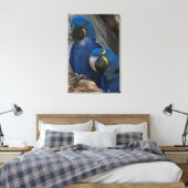 Zwei Hyacinth Macaws, Brasilien Leinwanddruck (Insitu (Schlafzimmer))