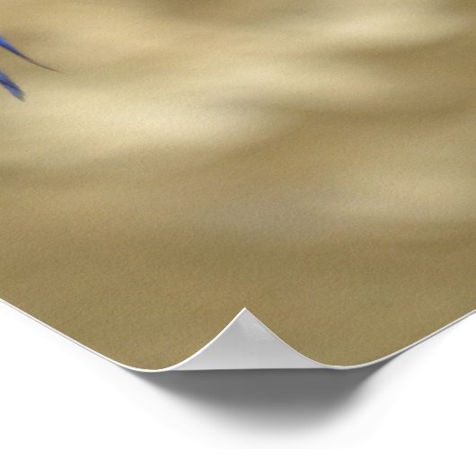 Zwei Hyacinth Macaws Poster (Ecke)