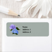 Zwei Hydrangea Lavender und Blau (Insitu)
