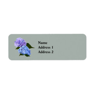 Zwei Hydrangea Lavender und Blau