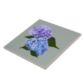 Zwei Hydrangea Lavender und Blau Fliese (Seite)