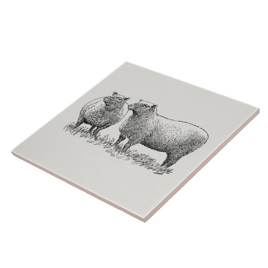 Zwei Illustrierte Schafe Fliese (Seite)