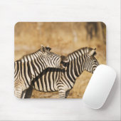 Zwei im Gras stehende Zebras Mousepad (Mit Mouse)