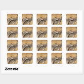 Zwei im Gras stehende Zebras Quadratischer Aufkleber (Blatt)