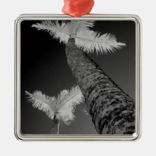 Zwei Infrarot-Palmen. Ornament Aus Metall