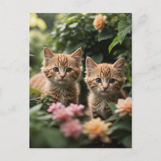 Zwei Ingwer Kätzchen entdecken einen üppigen Garte Postkarte (Vorderseite)