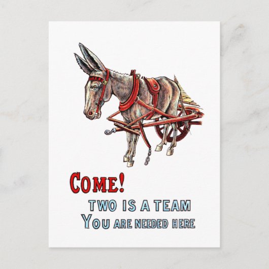 Zwei ist ein Team Postkarte (Vorderseite)