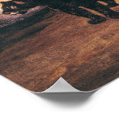 Zwei Jaguare aus Peru Poster (Ecke)