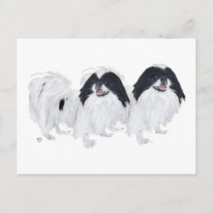 Zwei Japan-Chin-Hunde Postkarte