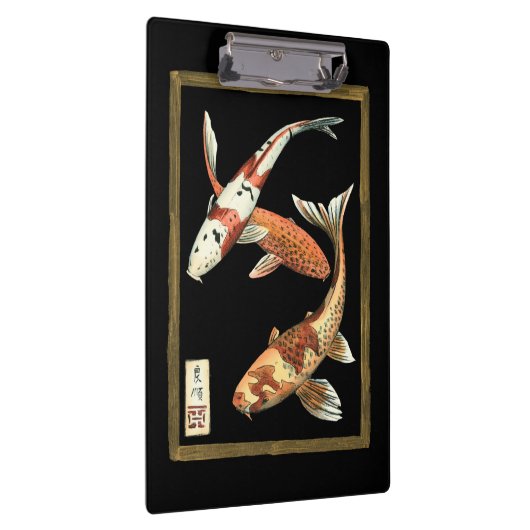 Zwei Japaner Koi Goldfisch auf schwarzem Klemmbrett (Rechts)