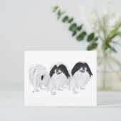 Zwei japanische Chin Hunde Postkarte (Stehend Vorderseite)