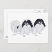 Zwei japanische Chin Hunde Postkarte (Vorne/Hinten)