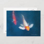 Zwei japanische koi Fische im Teich Postkarte (Vorne/Hinten)