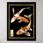 Zwei japanische Koi Goldfish auf schwarzem Hinterg Poster (Vorne)