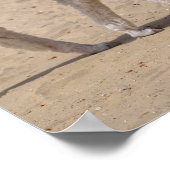 Zwei junge Alpakas Poster (Ecke)