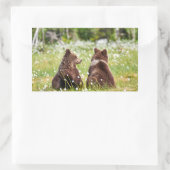 Zwei junge Braunbären-Aufkleber Rechteckiger Aufkleber (Tasche)