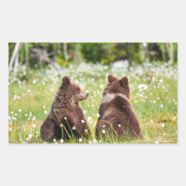 Zwei junge Braunbären-Aufkleber Rechteckiger Aufkleber