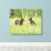 Zwei junge Braunbärenfreunde Leinwanddruck (Insitu (Holzboden))