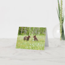 Zwei junge braune Bärenfreunde gefaltet Grußkarte