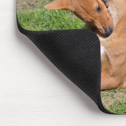 Zwei junge Dingos Mousepad (Ecke)