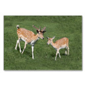 Zwei junge Hirsche Tischnummer (Vorderseite)