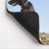 Zwei junge Hunde, die in die entgegengesetzte Rich Mousepad (Ecke)