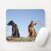 Zwei junge Hunde, die in die entgegengesetzte Rich Mousepad (Mit Mouse)