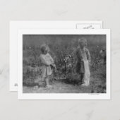 Zwei junge Mädchen pflücken Baumwollfotografie Postkarte (Vorne/Hinten)
