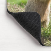zwei junge Murmeltiere Mousepad (Ecke)