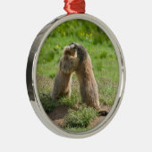 zwei junge Murmeltiere Silbernes Ornament (Rechts)