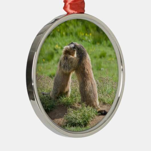 zwei junge Murmeltiere Silbernes Ornament (Rechts)