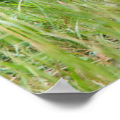 Zwei junge rote Füchse in der Natur Poster (Ecke)