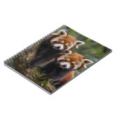 zwei junge rote Panda-Bären in einem Baum, Notizblock (Linke Seite)