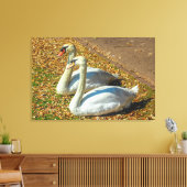 Zwei junge Schwäne im Herbstsonnenlicht Leinwanddruck (Insitu (Wohnzimmer))