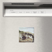 Zwei junge Siegel an der Küste, c.1650 Magnet (In Situ (Geschirrspüler))
