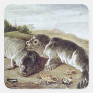 Zwei junge Siegel an der Küste, c.1650 Quadratischer Aufkleber