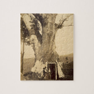 Zwei Jungen am Eingang ihres Baumhauses, c.1870 Puzzle
