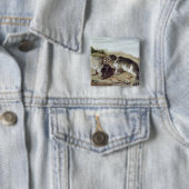 Zwei junges Siegel auf dem Ufer, c.1650 Button (Beispiel)