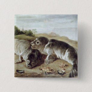 Zwei junges Siegel auf dem Ufer, c.1650 Button