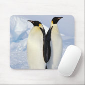 Zwei Kaiserpinguine in der Antarktis Mousepad (Mit Mouse)